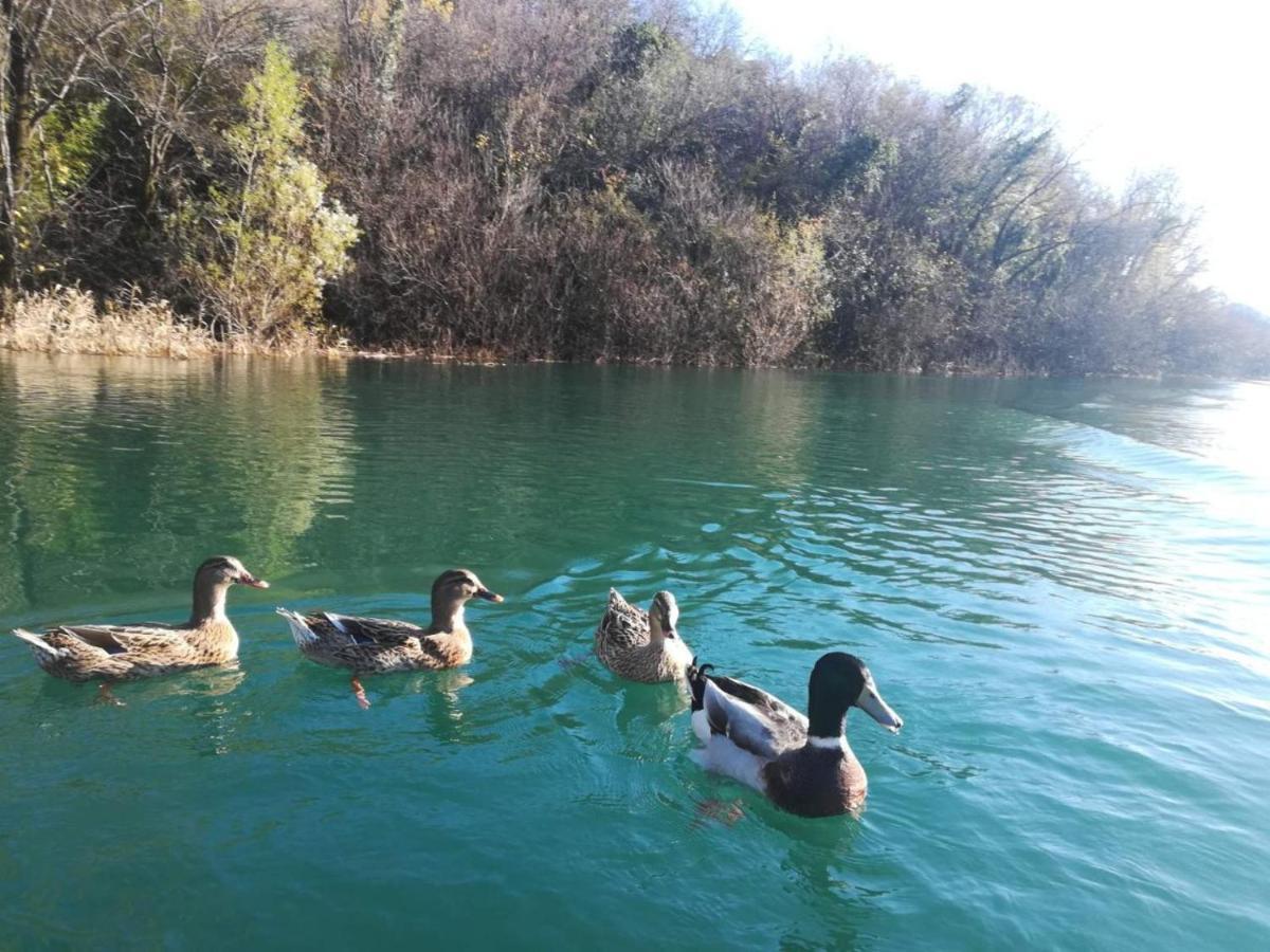 Apartmani Karucki Krs Podgorica Exteriör bild
